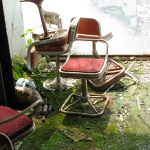 toyo bowl moss chairs.jpg